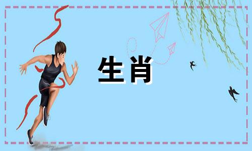 女性生肖中，那些最易受到男性宠爱的 最令男性怜惜的生肖女性