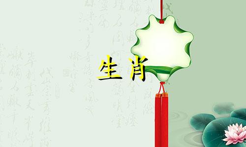 与属狗男性最匹配的生肖女性是哪些 哪些生肖的女性与属狗的男性最为相称