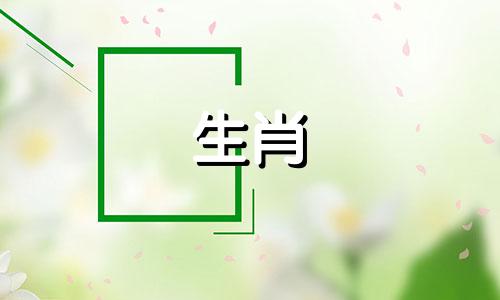 属兔的人与哪些生肖最为相合