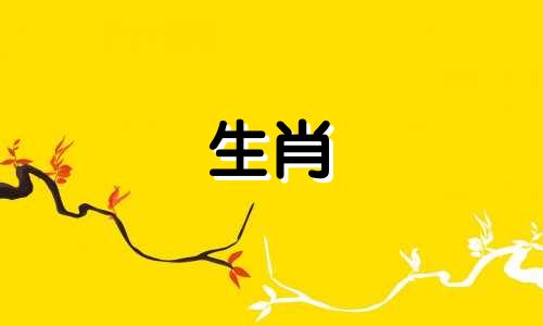 讨论一下在十二生肖中，哪个动物被认为较为柔弱。
