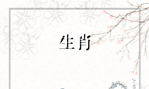 属龙的人与哪些生肖不和？