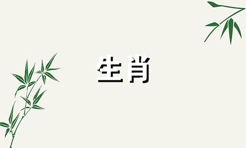哪个生肖的女性具有吸引财富的特质，并且属虎的女性应该佩戴什么物品来驱邪、吸引财运和改变运势？