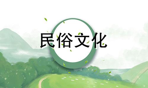 欣赏蜜蜂养殖的风水禁忌图片 如何判断蜜蜂窝的风水优劣