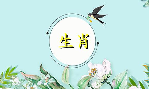 属羊的母亲和属狗的父亲所生的孩子，与某些生肖属相可能存在不和谐。