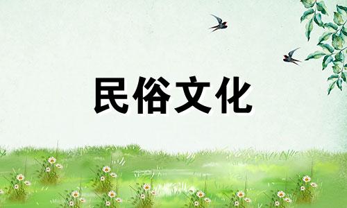 视频教程：红掌植物的风水意义与正确摆放位置，以及应避免的摆放错误