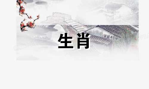 在十二生肖中，属鼠的人最应避免与哪个属相冲突？