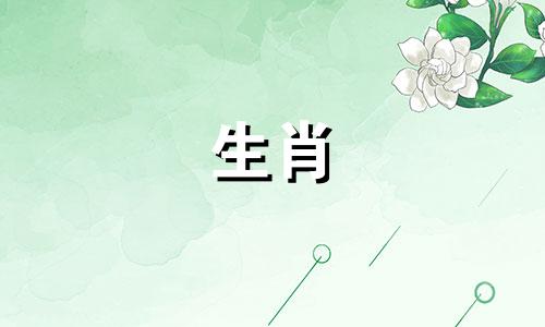 对于属龙的男性来说，最理想的生肖配对是什么？我是一个属龙的男性，出生在农历十二月，与哪个生肖