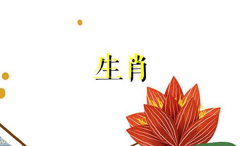 在十二生肖中，属兔的人会经历哪些情感挑战？他们与哪个生肖的配对可能面临困难？
