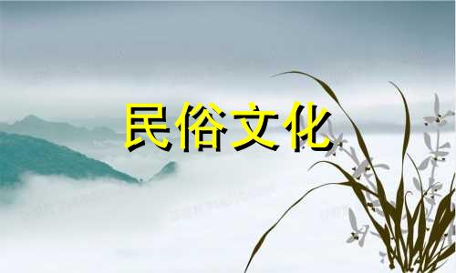 解析门前腊梅树的风水禁忌图案 关于腊梅树的六大风水禁忌