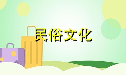 欣赏兰花摆放风水禁忌图片：了解适宜放置兰花的位置及其风水忌讳