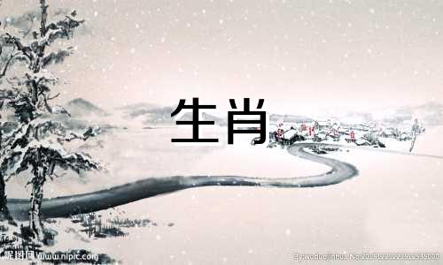 关于十二生肖的归属门类，如何进行划分？十二生肖是中国传统文化中的一种象征系统，将人出生年份与十二种