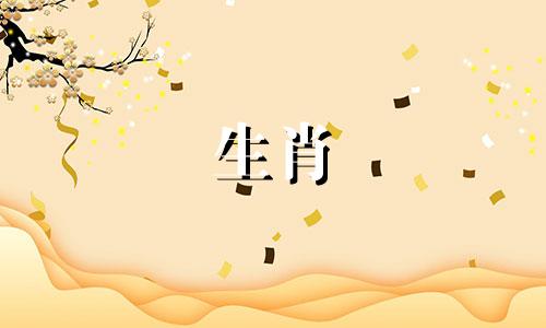 这些生肖所属的女性同样能成为家族中坚，承担起家庭支柱的角色。