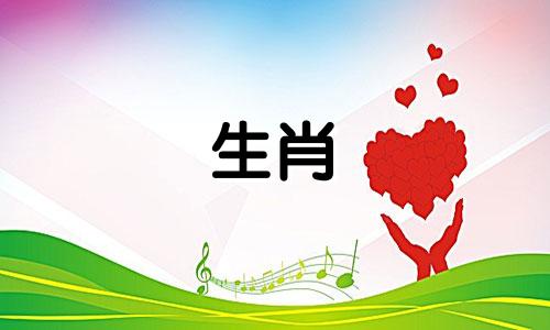 属猪的生肖与其他属相的最佳配对