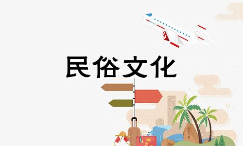 视频解析：如何正确摆放发财树以避免风水上的忌讳