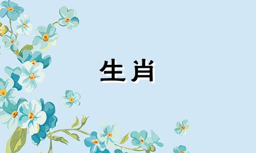 在十二生肖中，以下八个属相的女性被认为拥有最佳的健康状况：1. 鼠女 - 以其机敏和灵活