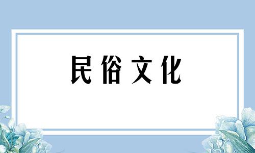 关于君子兰的象征意义、风水作用以及相关忌讳的探讨 探究君子兰所象征的含义及其在风水学中的意义