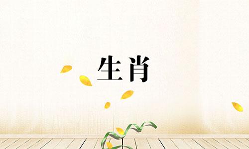 在探讨与自我认同相关的生肖属相，我们可以考虑哪些生肖之间存在一种天然的缘分。根据传统的十二生肖，每个生肖都与