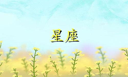 火影忍者中的各个角色分别属于哪个星座的十二星座划分。