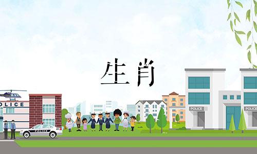 能否通过生肖属相来预测命运,尤其是对于女孩子来说?生肖是否也能准确反映一个人的性格特点?