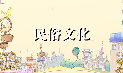 高清图片：小叶赤楠树的风水禁忌，避免在种植时触犯