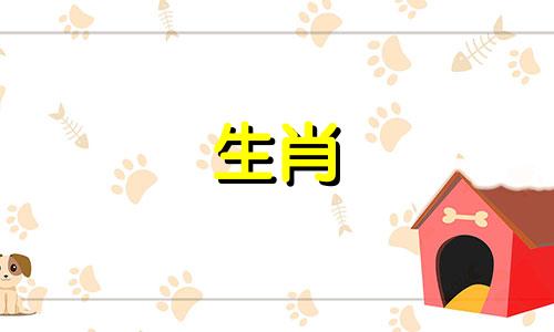 陶渊明的生肖是属什么动物？