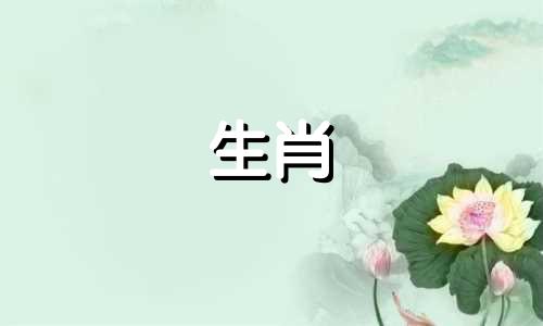 属相与马不相容的是哪些生肖 不适合与属马的人配对的属相