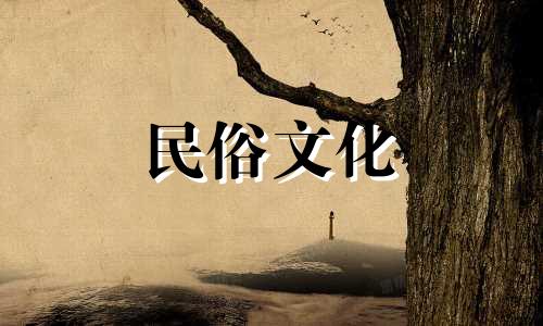 十大校园风水禁忌相关图书图鉴 涉及风水学的书籍概览