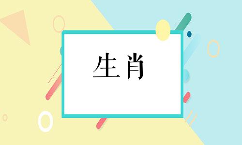在十二生肖中，性格温和、亲和力强且深受人们喜爱的生肖有哪些？