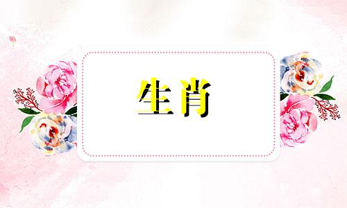 属龙人婚配属相查询表：最佳配对与属相搭配指南