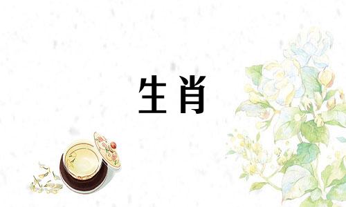 三生三世相结合的生肖属相是什么？