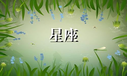 在聚会中,喝酒往往是一个不可或缺的环节,而十二星座的朋友们在畅饮时各有其独特的风采。以下是对十二星座喝酒时表现