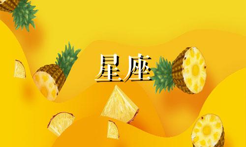 如何查看抖音上的星座分析榜单 陶白白提供的最全面的金牛座分析，以及陶白白的十二星座分析在哪里可以找到？