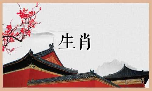 师姐，你认为什么生肖属相比较好？例如，东邪西毒梅超风这个角色，她的属相是什么呢？我们能否