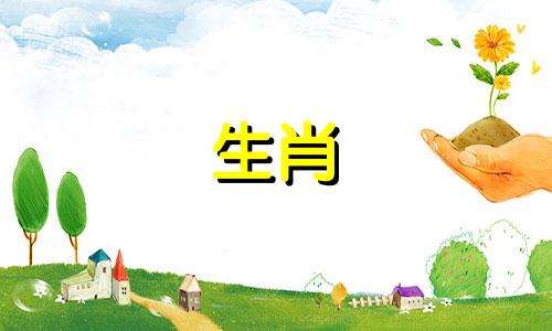 在十二生肖中，哪些生肖通常做事拖延？