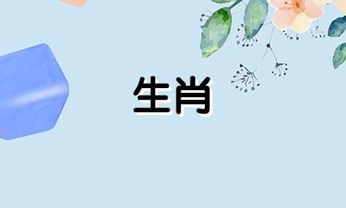 在十二生肖中，哪一个属相最有可能成为大官？