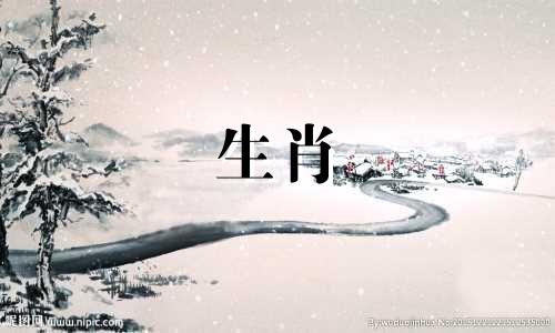 属兔的人与属羊、属狗和属猪的人最为相配。