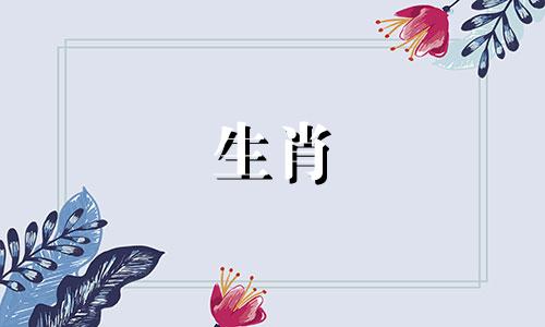 在讨论时辰吉凶与生肖属相的关系时，我们首先需要明确两个概念：时辰属相和年份属相。这两者虽然都与