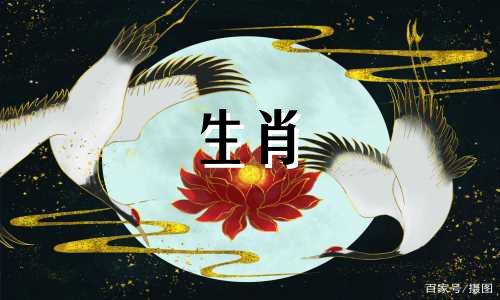 哪个生肖属相与金牛座的命最好？