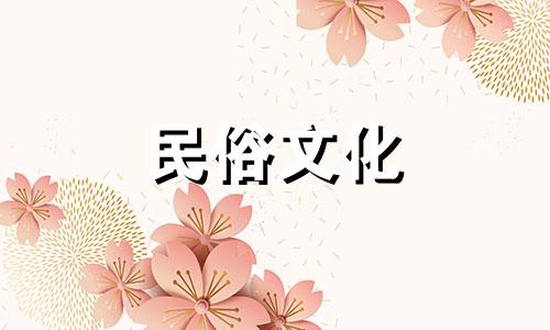 家里养紫竹的风水禁忌是什么？在家中养紫竹风水好吗？