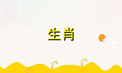 龙和虎生肖不配的属相是什么?