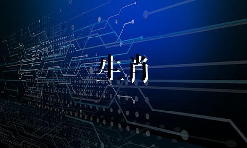 属狗的女性佩戴什么生肖玉石最能招财进宝