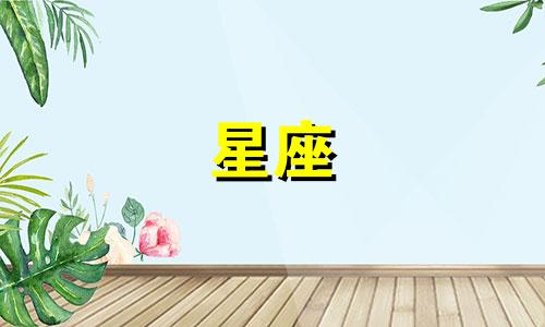 海清个人星座运势查询 2021十二星座每日运势更新查询