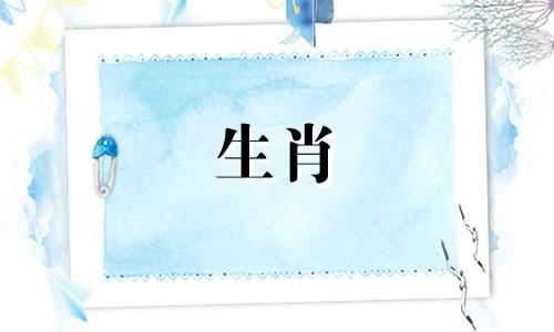 属狗配对姻缘查询:两个94年属狗人的婚姻配对详情在中国传统文化中,属相被认为是影响个人