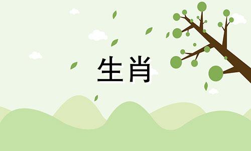 属牛的女性最适宜的配偶属相是什么？