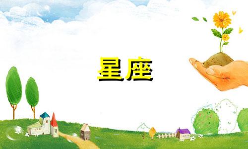 摩羯座的男孩对水瓶座的女孩怀有暗恋之情。