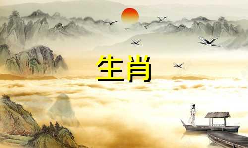 属猪的人与哪些生肖最为相配？