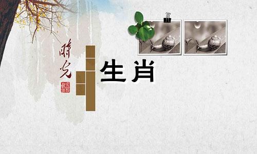 《十二生肖传奇》演员阵容揭晓，包括王母娘娘的扮演者在内的明星介绍。