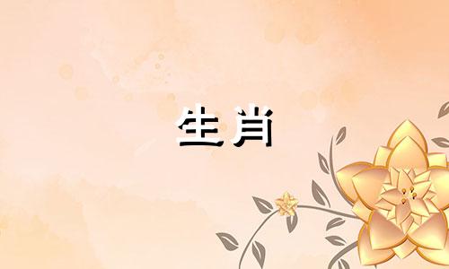 兔年起源,源于象形文字,寓意吉祥,象征灵动与和平。