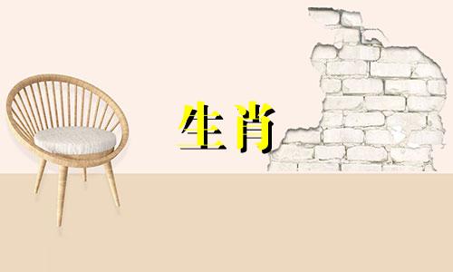 属相配对女蛇男兔是指根据中国生肖文化中,属蛇的女性与属兔的男性在婚姻中的相性