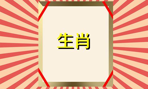 属鸡的男性与属猪的女性以及属兔的女性是理想的配对,特别是1993年出生的属鸡男性,他们